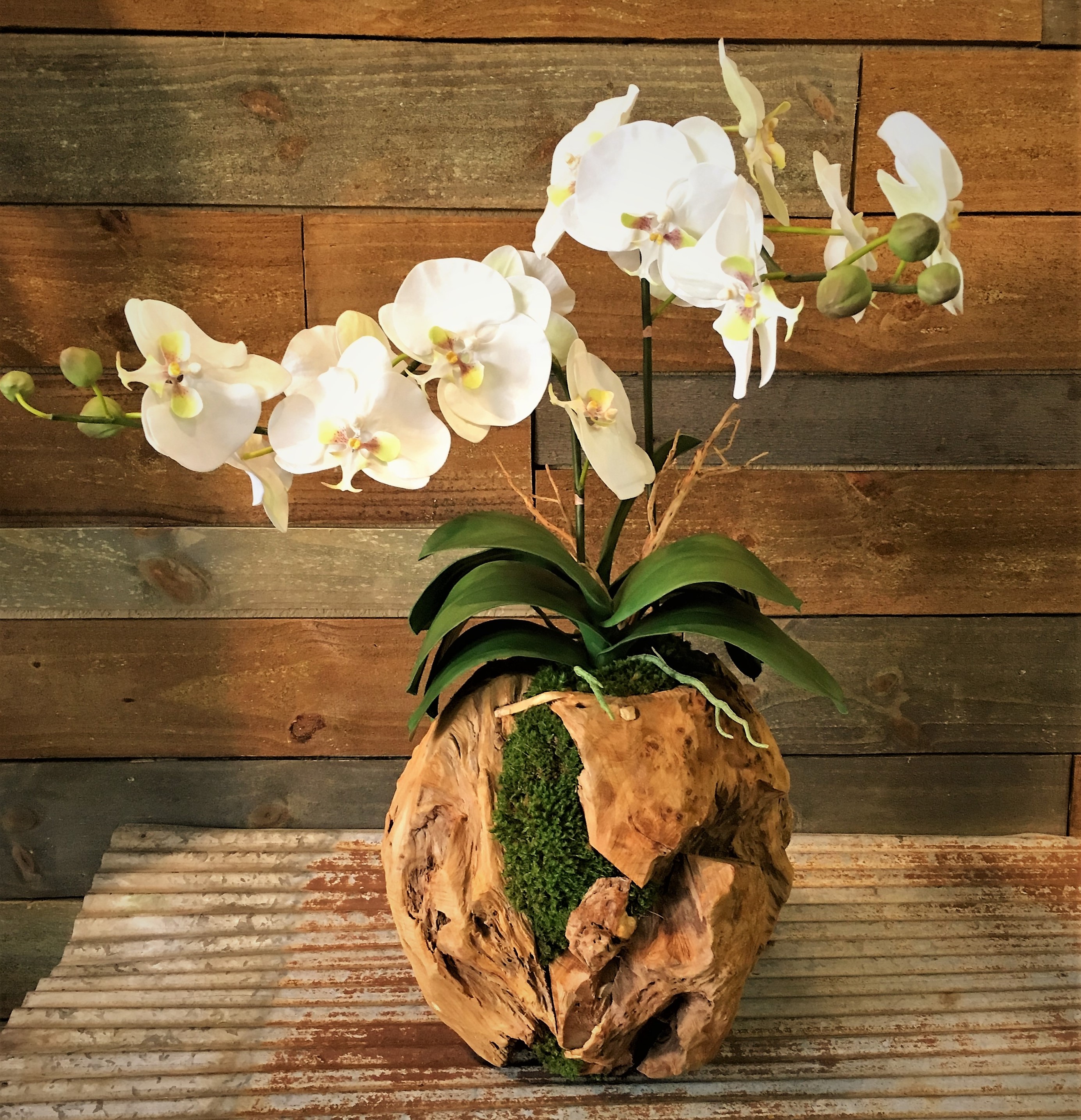 Double Orchid in a Hand Crafted Wooden Sphere - Click Image to Close